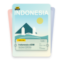 Indonesia eSIM travel pass showing Standard + GB/day data, valid for 1 to 30 days.