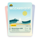 Mozambique eSIM travel pass showing 1 to 20GB data, valid for 7 to 30 days.